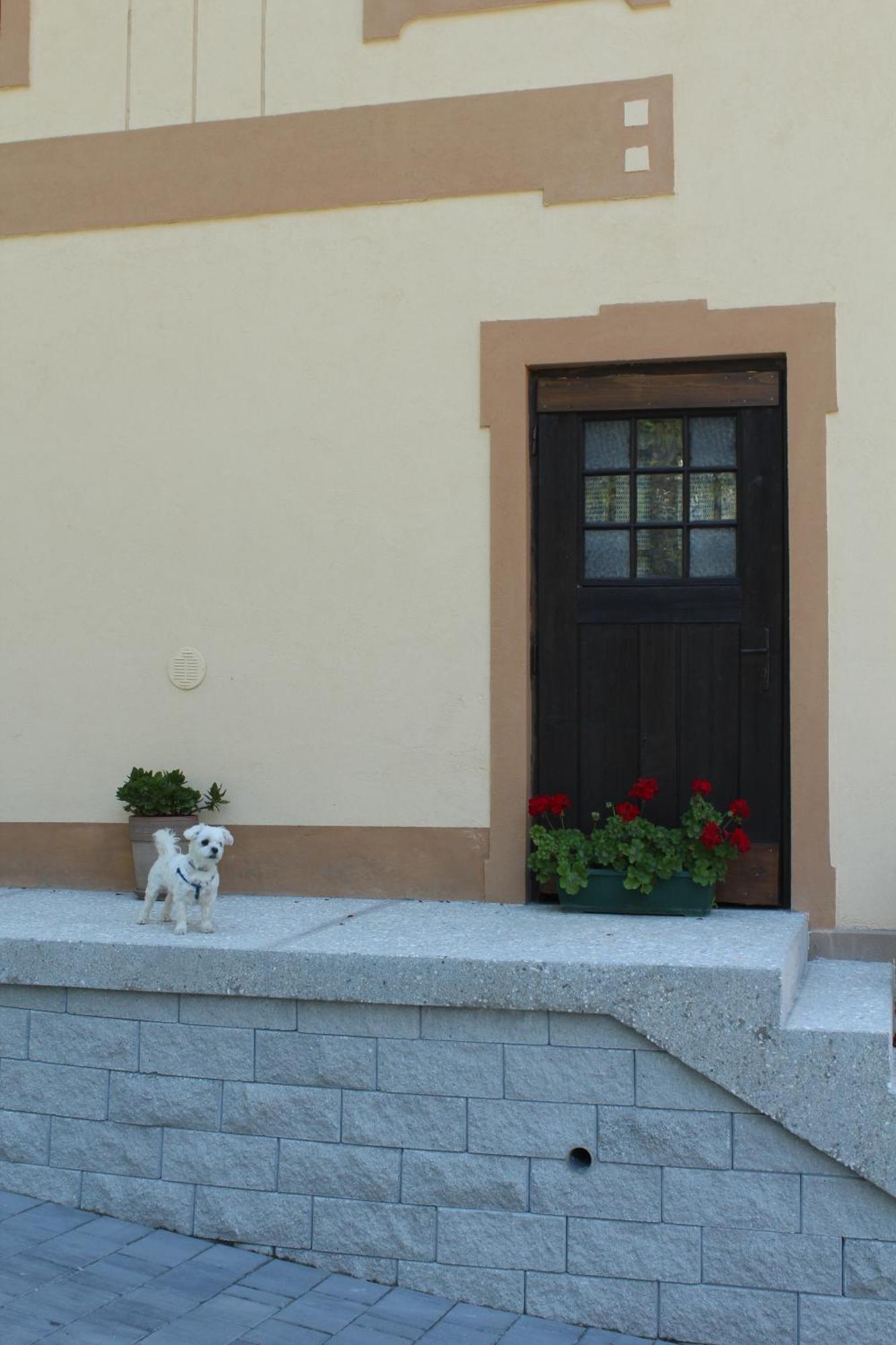 Hadam'S Apartments Bled Exterior photo
